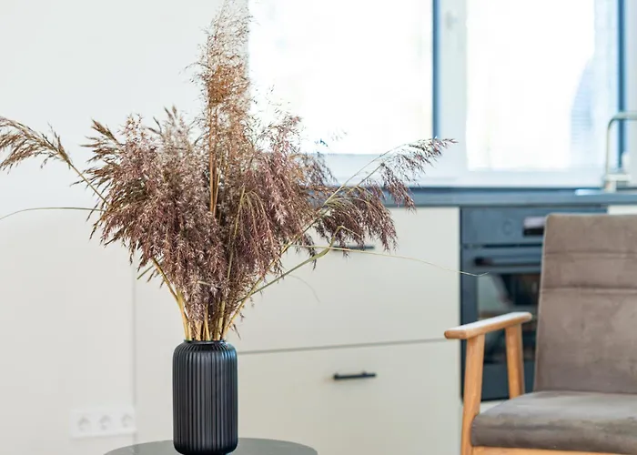 Amber Stone Monciskes Casa vacanze